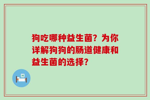 狗吃哪种益生菌？为你详解狗狗的肠道健康和益生菌的选择？