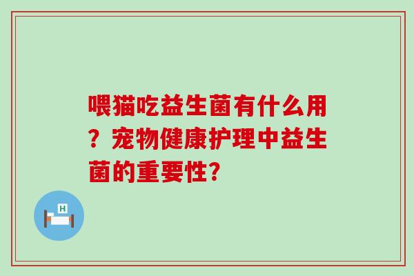 喂猫吃益生菌有什么用？宠物健康护理中益生菌的重要性？