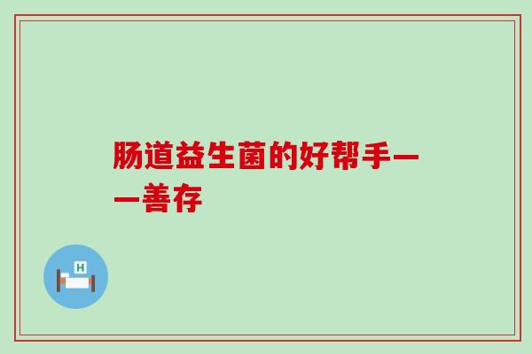 肠道益生菌的好帮手——善存