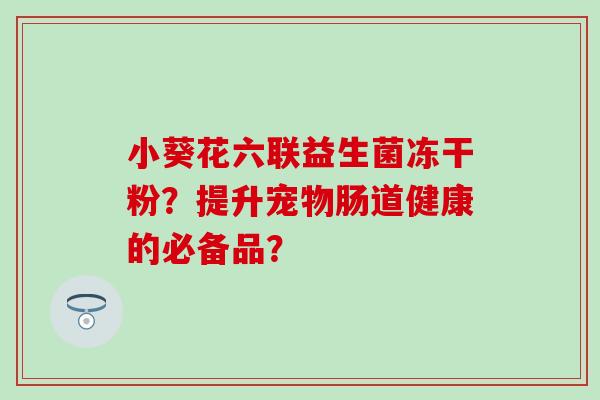小葵花六联益生菌冻干粉？提升宠物肠道健康的必备品？