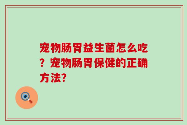 宠物肠胃益生菌怎么吃？宠物肠胃保健的正确方法？