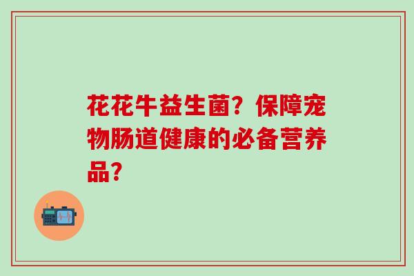 花花牛益生菌？保障宠物肠道健康的必备营养品？