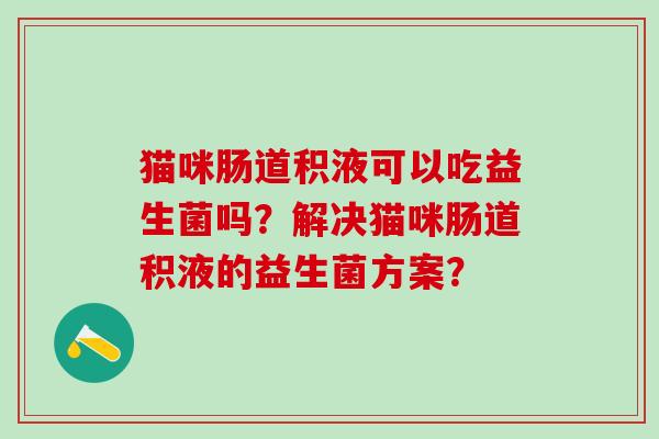 猫咪肠道积液可以吃益生菌吗？解决猫咪肠道积液的益生菌方案？
