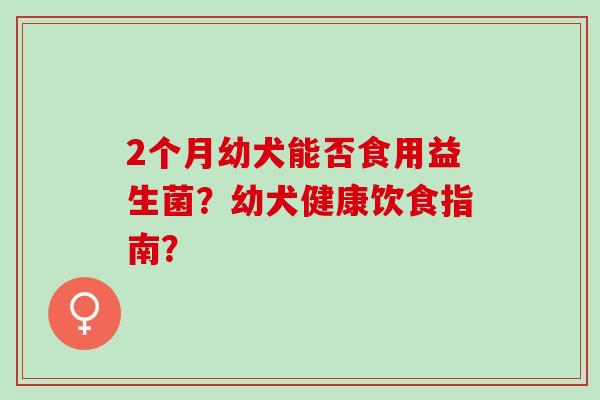 2个月幼犬能否食用益生菌？幼犬健康饮食指南？