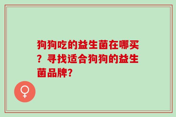 狗狗吃的益生菌在哪买？寻找适合狗狗的益生菌品牌？