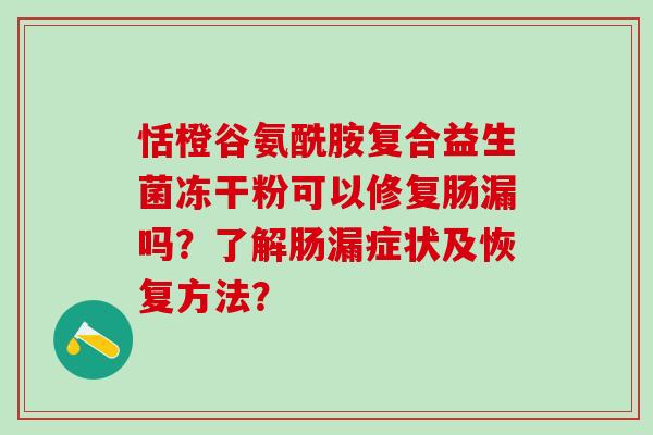 恬橙谷氨酰胺复合益生菌冻干粉可以修复肠漏吗？了解肠漏症状及恢复方法？