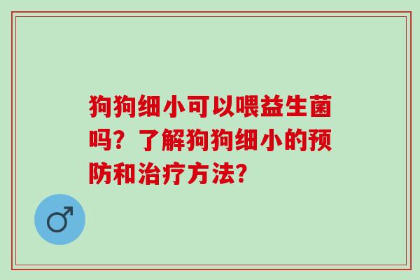 狗狗细小可以喂益生菌吗？了解狗狗细小的和方法？