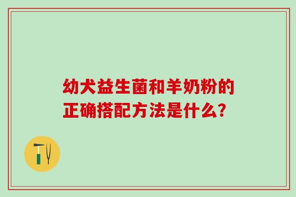 幼犬益生菌和羊奶粉的正确搭配方法是什么？