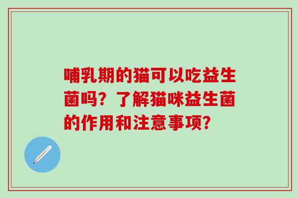 哺乳期的猫可以吃益生菌吗？了解猫咪益生菌的作用和注意事项？
