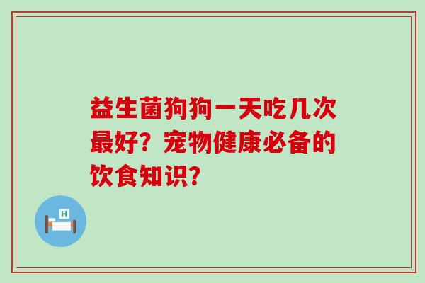 益生菌狗狗一天吃几次好？宠物健康必备的饮食知识？