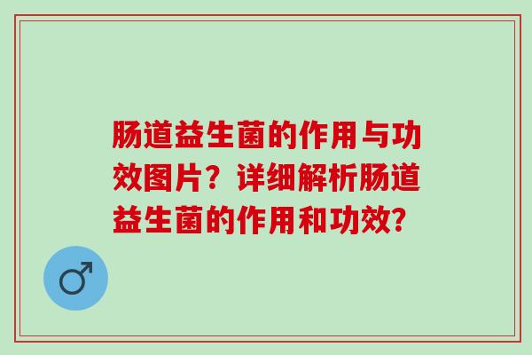 肠道益生菌的作用与功效图片？详细解析肠道益生菌的作用和功效？