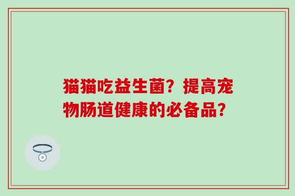 猫猫吃益生菌？提高宠物肠道健康的必备品？
