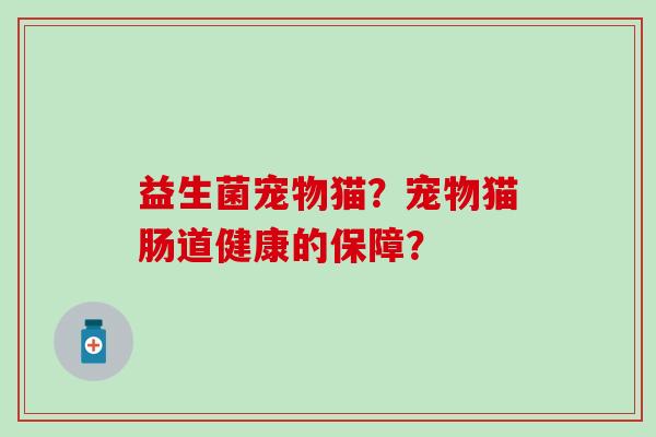 益生菌宠物猫？宠物猫肠道健康的保障？