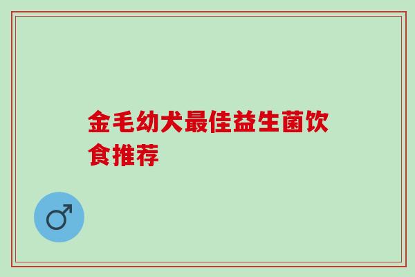 金毛幼犬佳益生菌饮食推荐