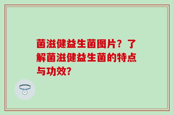 菌滋健益生菌图片？了解菌滋健益生菌的特点与功效？