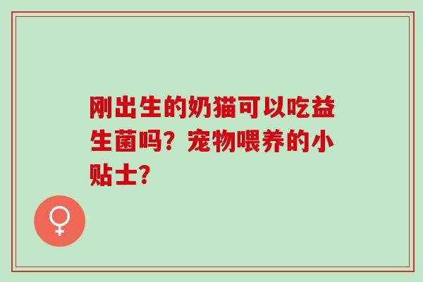 刚出生的奶猫可以吃益生菌吗?宠物喂养的小贴士? 刚出生的奶猫可以吃益生菌吗?宠物喂养的小贴士?