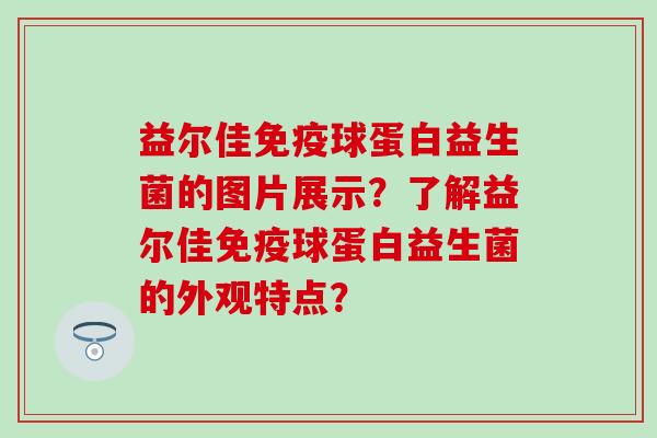 益尔佳球蛋白益生菌的图片展示？了解益尔佳球蛋白益生菌的外观特点？