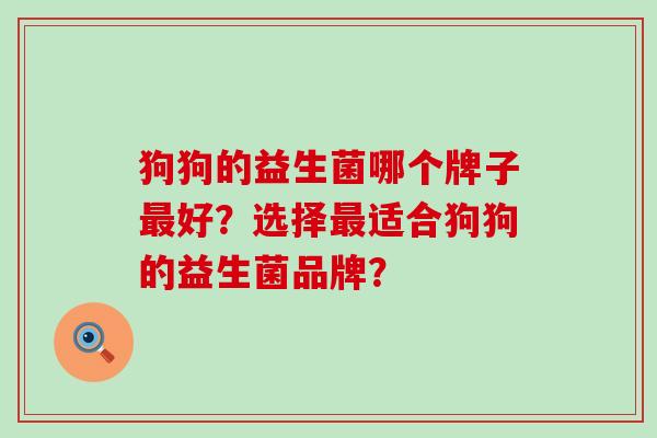 狗狗的益生菌哪个牌子好？选择适合狗狗的益生菌品牌？