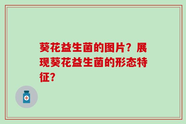 葵花益生菌的图片？展现葵花益生菌的形态特征？