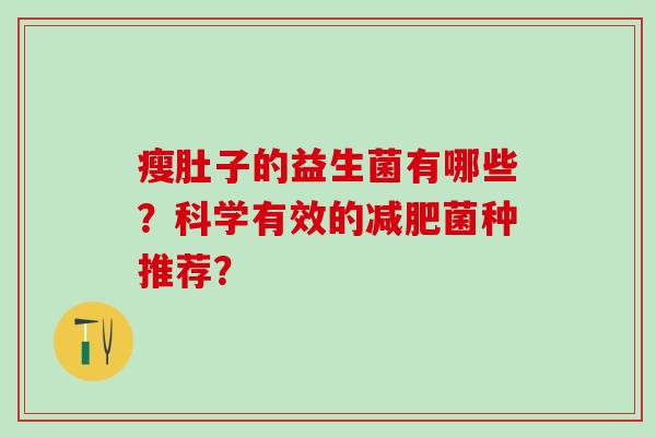 瘦肚子的益生菌有哪些？科学有效的菌种推荐？
