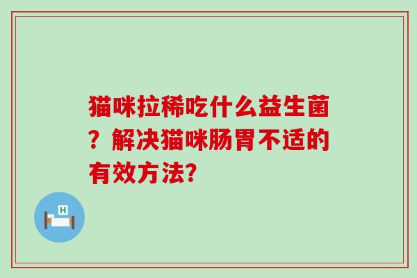 猫咪拉稀吃什么益生菌？解决猫咪肠胃不适的有效方法？