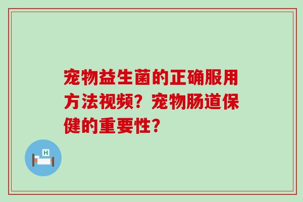 宠物益生菌的正确服用方法视频？宠物肠道保健的重要性？