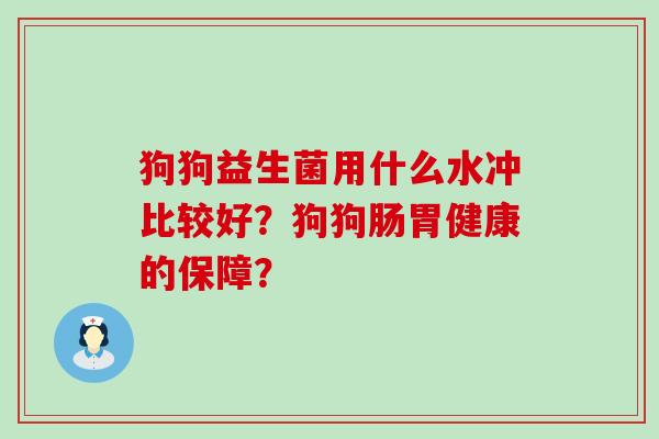 狗狗益生菌用什么水冲比较好？狗狗肠胃健康的保障？