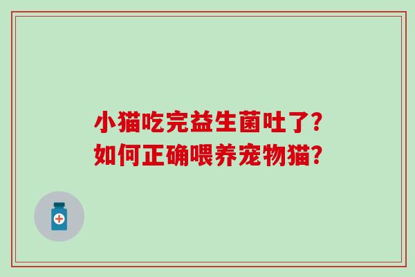 小猫吃完益生菌吐了？如何正确喂养宠物猫？