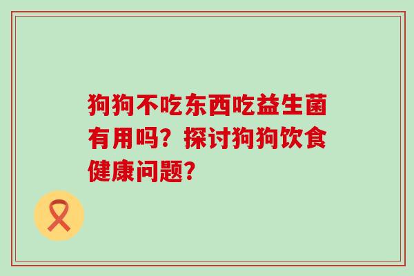 狗狗不吃东西吃益生菌有用吗？探讨狗狗饮食健康问题？