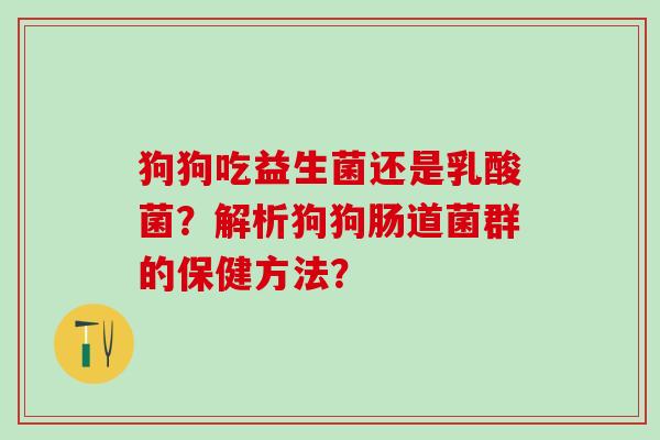 狗狗吃益生菌还是乳酸菌？解析狗狗肠道菌群的保健方法？
