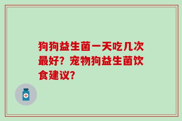 狗狗益生菌一天吃几次好？宠物狗益生菌饮食建议？