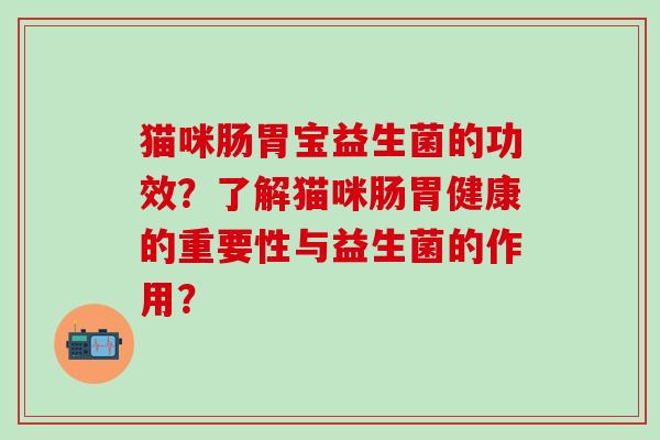 猫咪肠胃宝益生菌的功效？了解猫咪肠胃健康的重要性与益生菌的作用？
