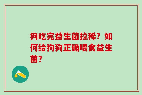 狗吃完益生菌拉稀？如何给狗狗正确喂食益生菌？