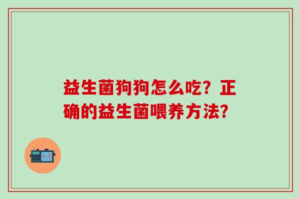 益生菌狗狗怎么吃？正确的益生菌喂养方法？