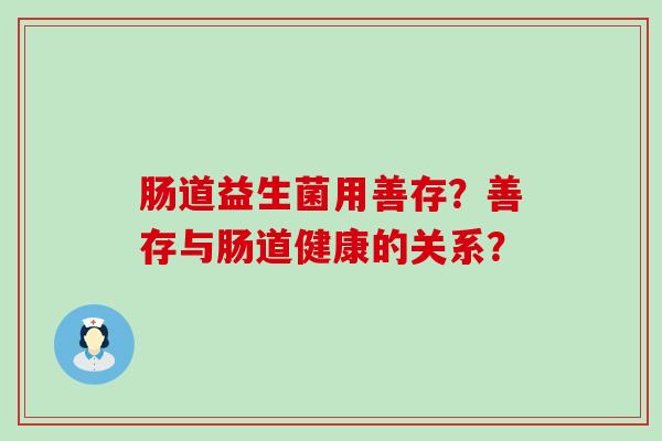 肠道益生菌用善存？善存与肠道健康的关系？