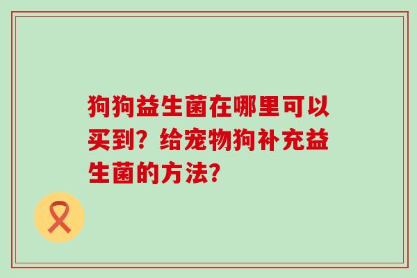 狗狗益生菌在哪里可以买到？给宠物狗补充益生菌的方法？