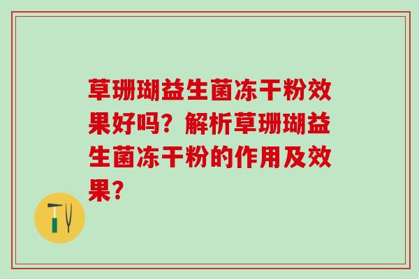 草珊瑚益生菌冻干粉效果好吗？解析草珊瑚益生菌冻干粉的作用及效果？