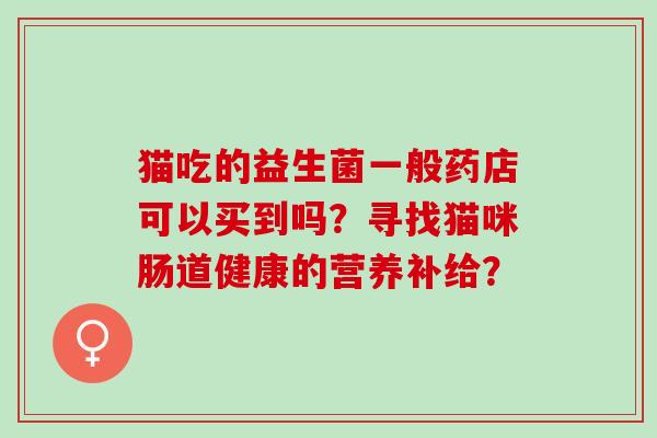 猫吃的益生菌一般药店可以买到吗？寻找猫咪肠道健康的营养补给？
