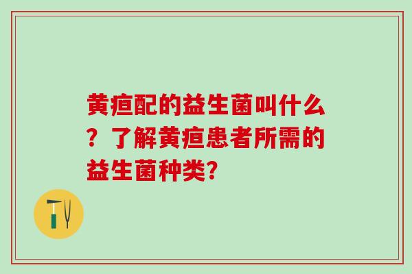 黄疸配的益生菌叫什么？了解黄疸患者所需的益生菌种类？