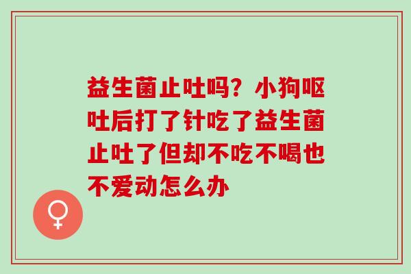益生菌止吐吗？小狗后打了针吃了益生菌止吐了但却不吃不喝也不爱动怎么办