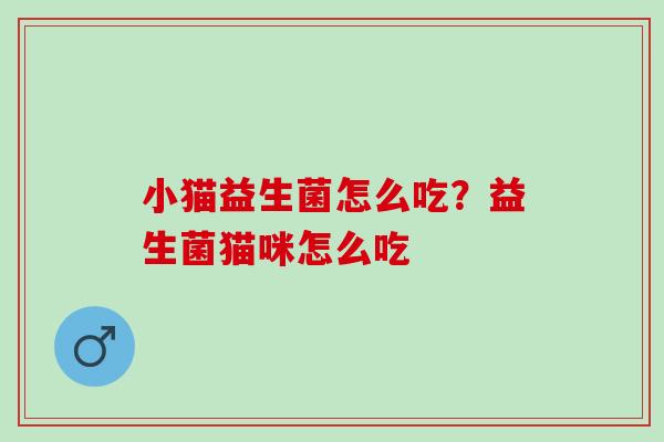 小猫益生菌怎么吃？益生菌猫咪怎么吃
