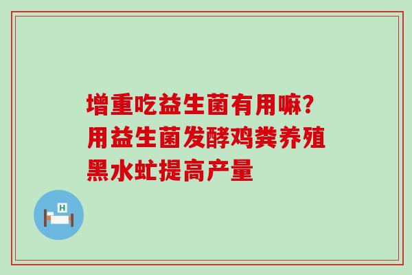 增重吃益生菌有用嘛？用益生菌发酵鸡粪养殖黑水虻提高产量