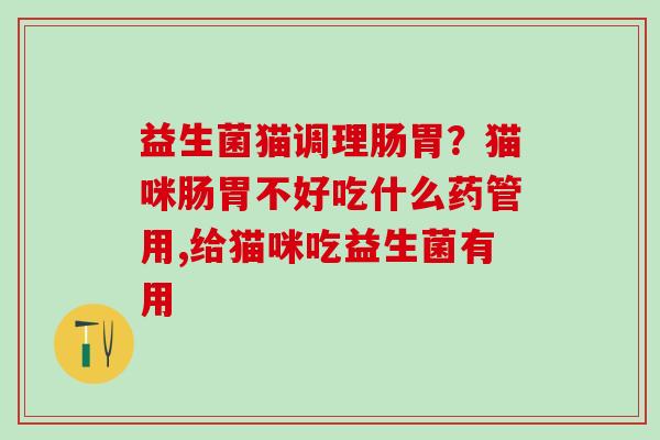 益生菌猫调理肠胃？猫咪肠胃不好吃什么药管用,给猫咪吃益生菌有用