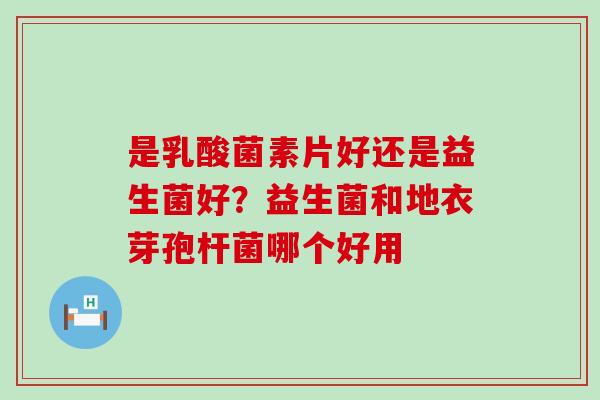 是乳酸菌素片好还是益生菌好？益生菌和地衣芽孢杆菌哪个好用