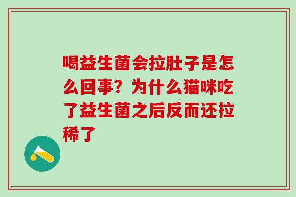 喝益生菌会拉肚子是怎么回事？为什么猫咪吃了益生菌之后反而还拉稀了