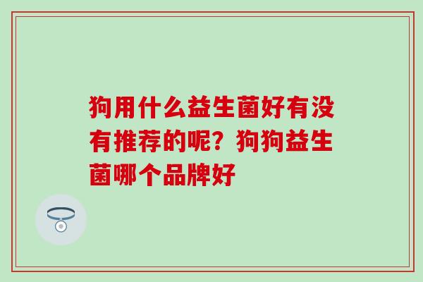 狗用什么益生菌好有没有推荐的呢？狗狗益生菌哪个品牌好