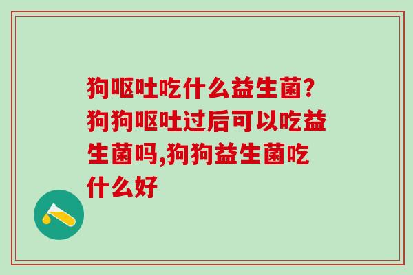 狗呕吐吃什么益生菌？狗狗呕吐过后可以吃益生菌吗,狗狗益生菌吃什么好
