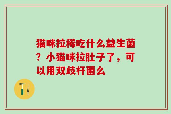 猫咪拉稀吃什么益生菌？小猫咪拉肚子了，可以用双歧杆菌么