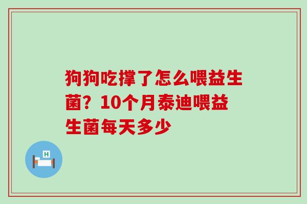 狗狗吃撑了怎么喂益生菌？10个月泰迪喂益生菌每天多少