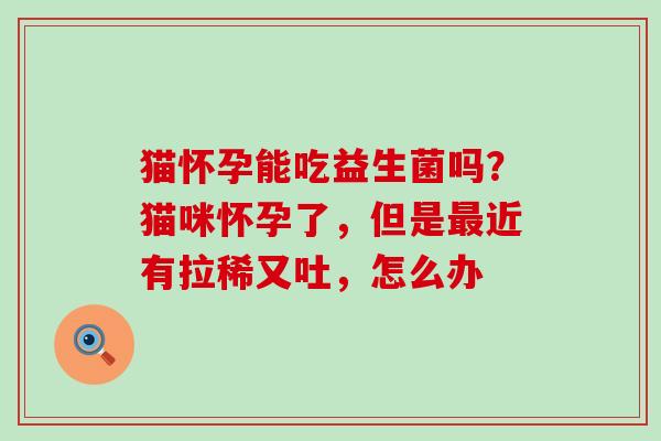 猫怀孕能吃益生菌吗？猫咪怀孕了，但是近有拉稀又吐，怎么办